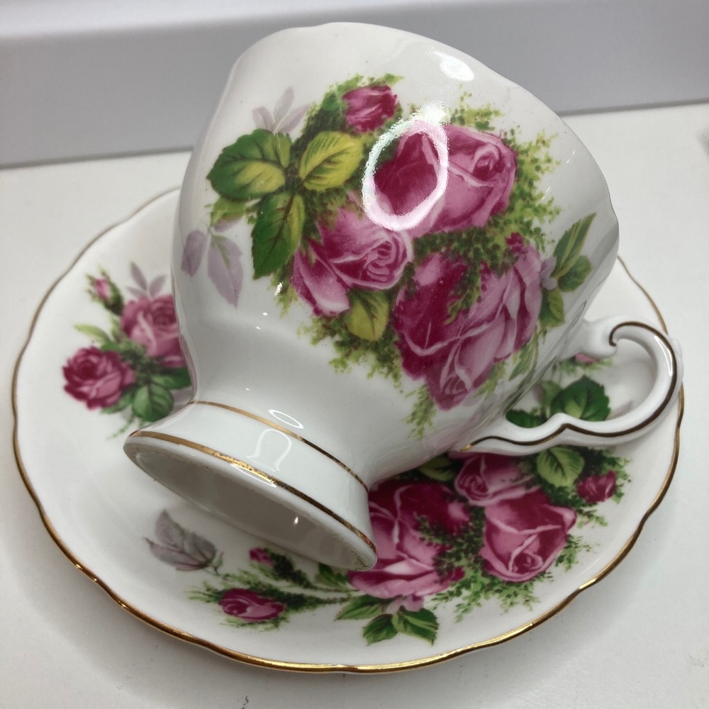 Tuscan/Royal Tuscan MOSS ROSE Cup & Saucer Set C9612 Bone China GREAT CONDITION